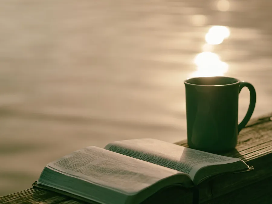 Christian l Biblical Premarital Counseling l Greenville SC