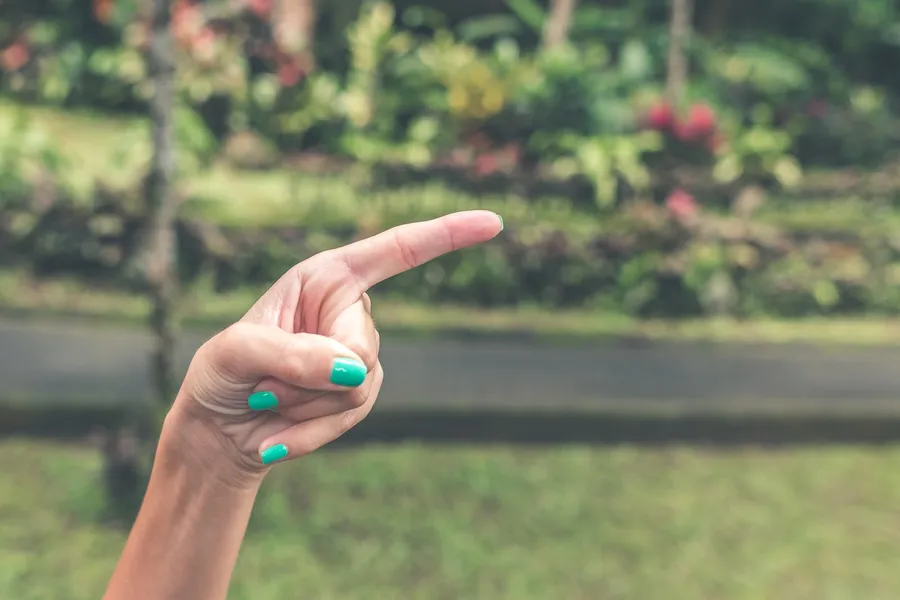 Blame and Point the Finger l Marriage Counseling l Greenville SC 29615