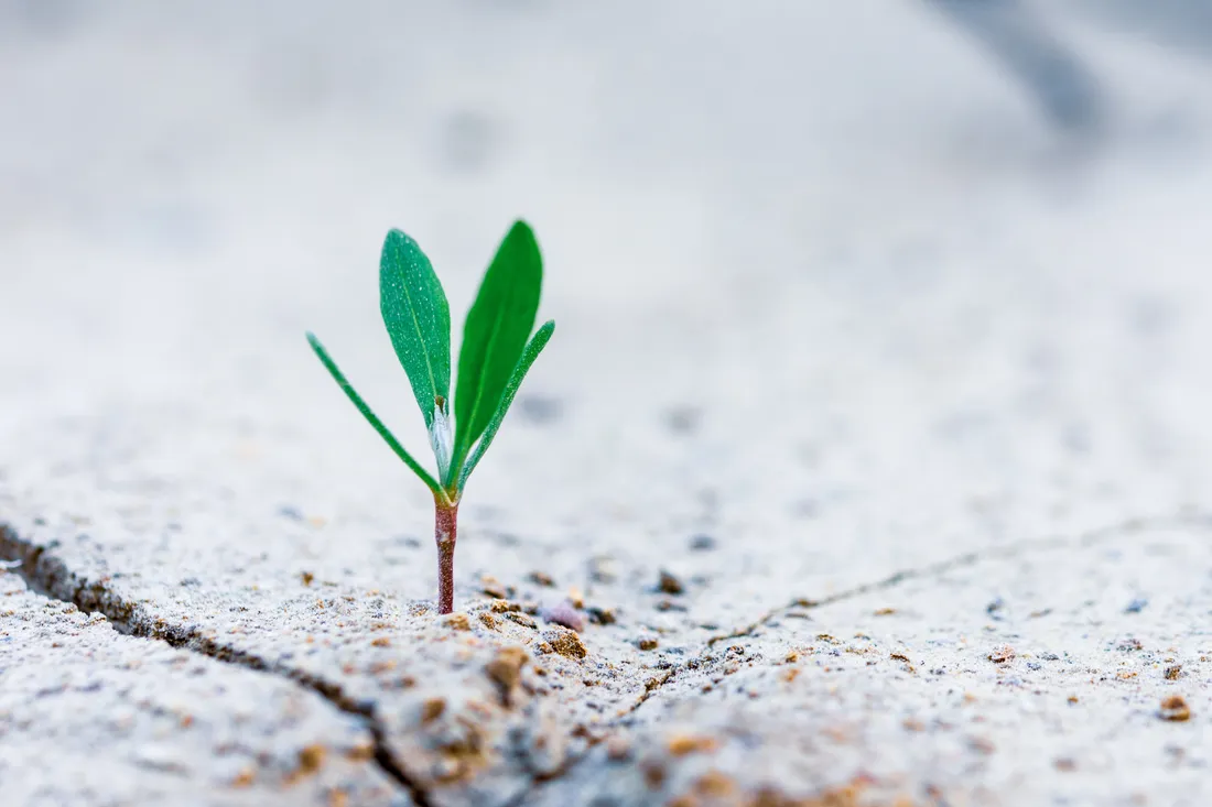 Life: A School for Character Development